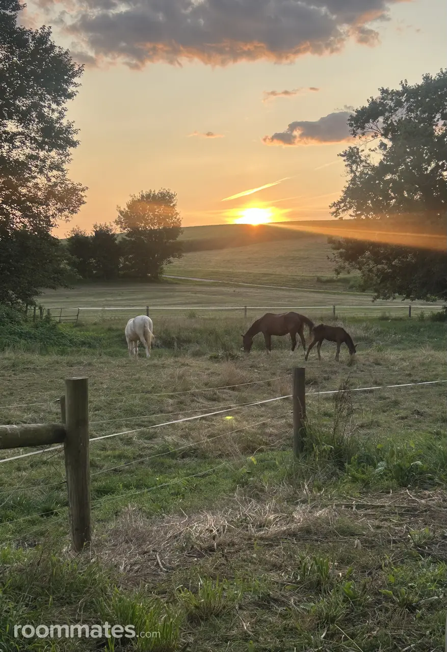 Profile photo 1 of 7