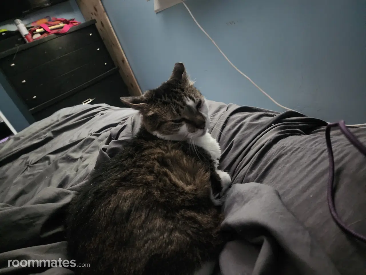 Profile photo 8 of 9