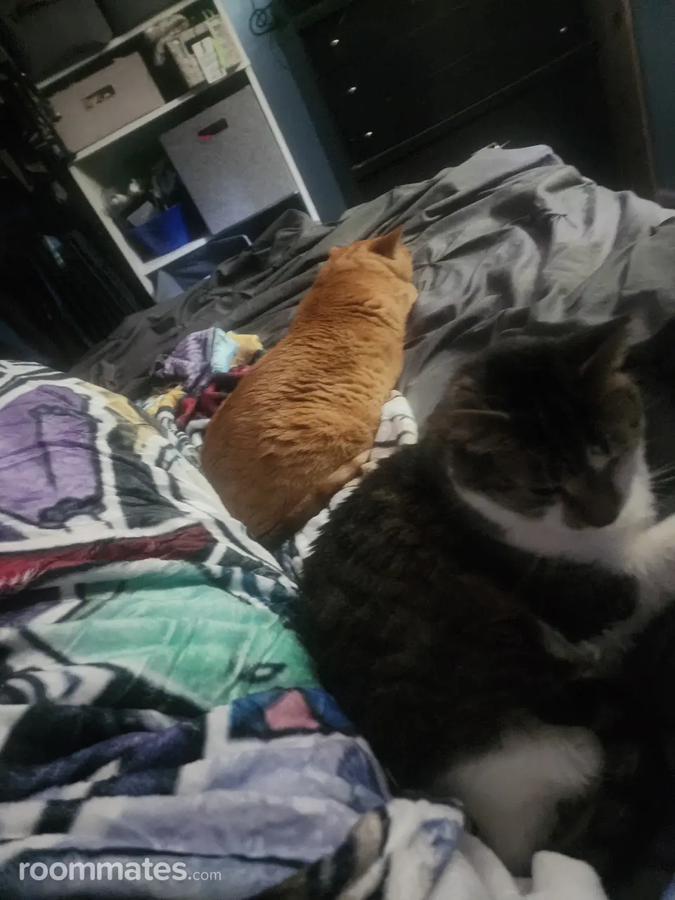 Profile photo 6 of 9