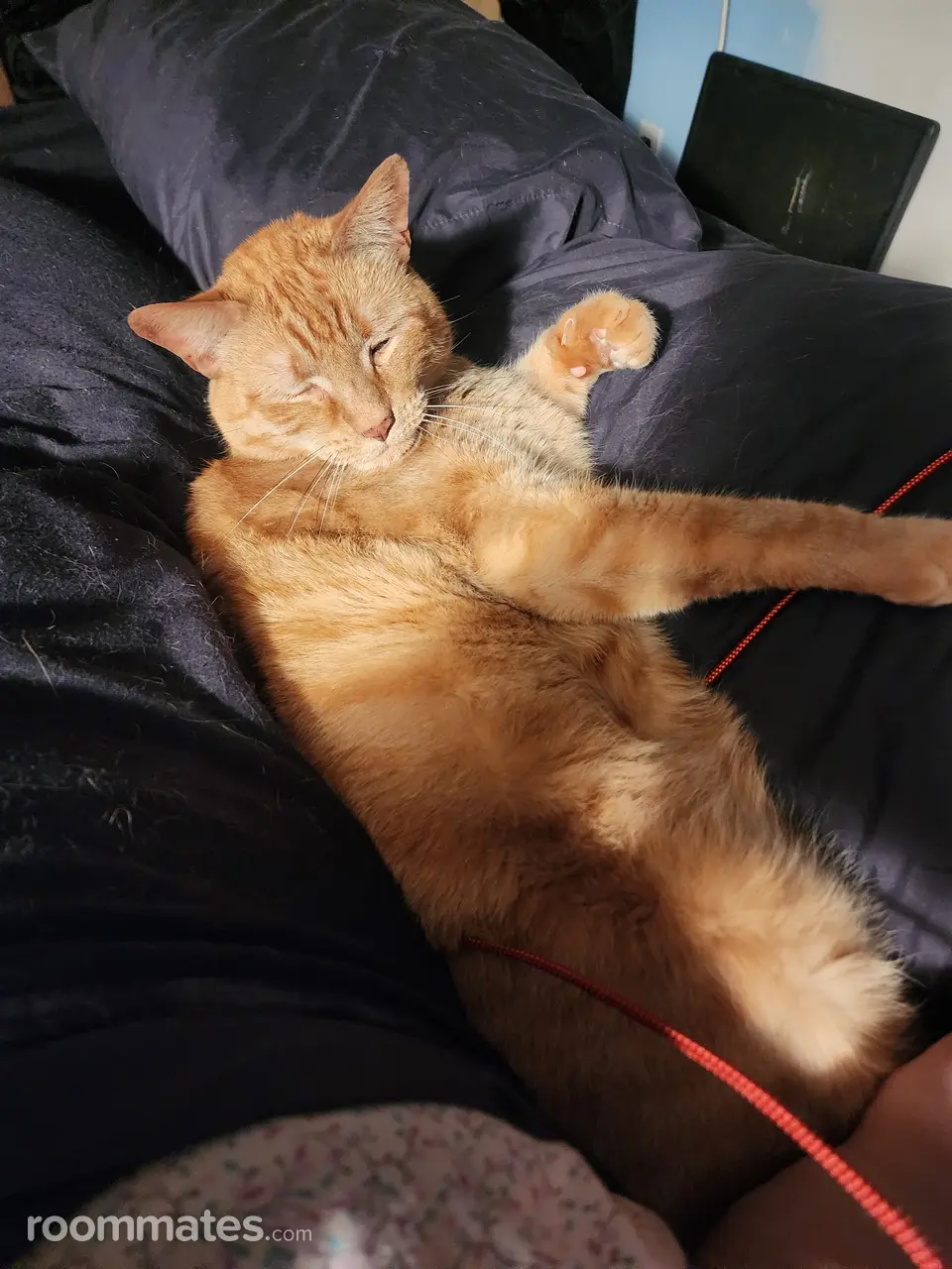 Profile photo 3 of 9