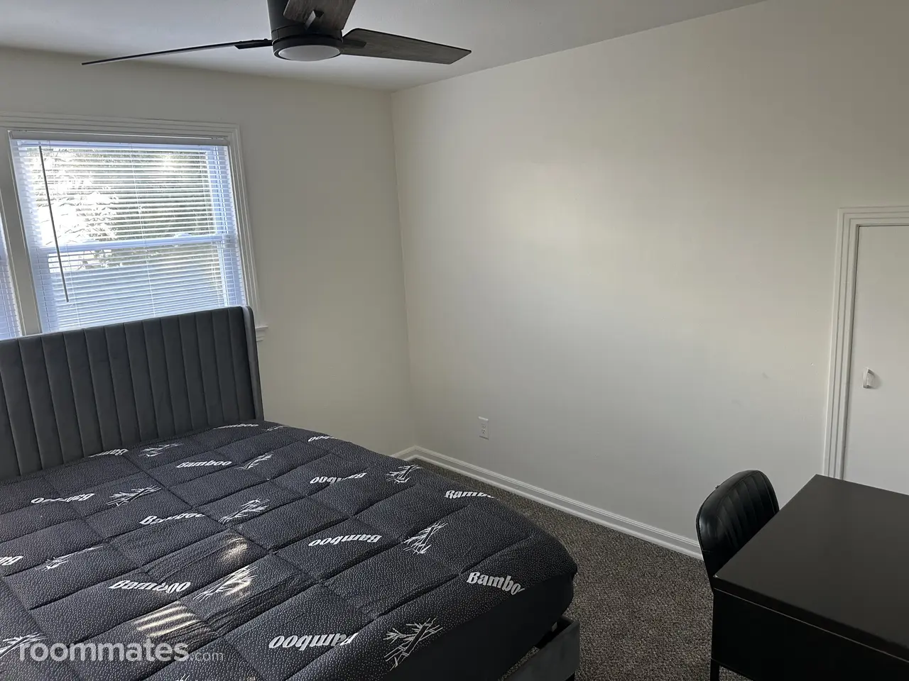 Profile photo 1 of 11