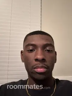 Roommate looking San Antonio, TX, $800