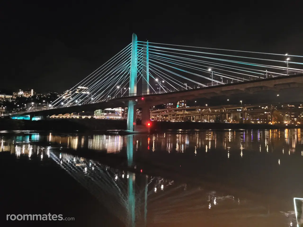 Profile photo 1 of 1