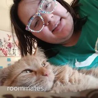 Roommate looking Manassas, VA, $600