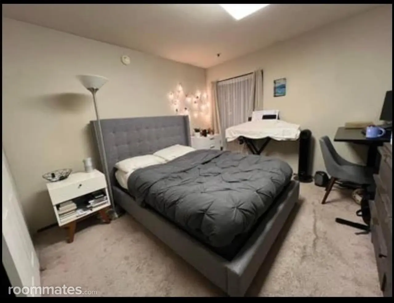 Profile photo 4 of 19