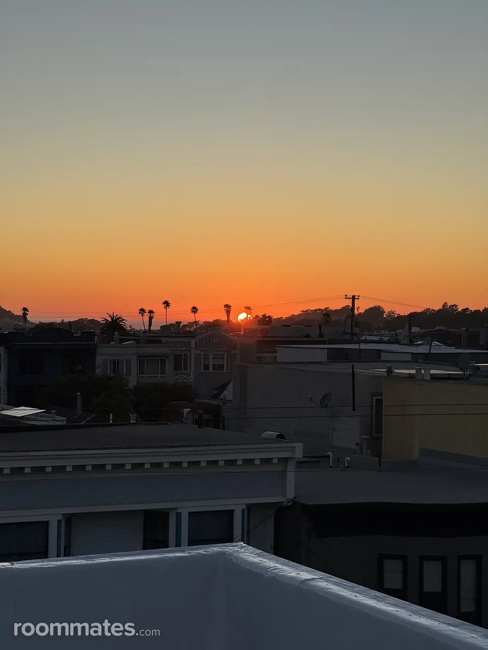 Profile photo 9 of 19