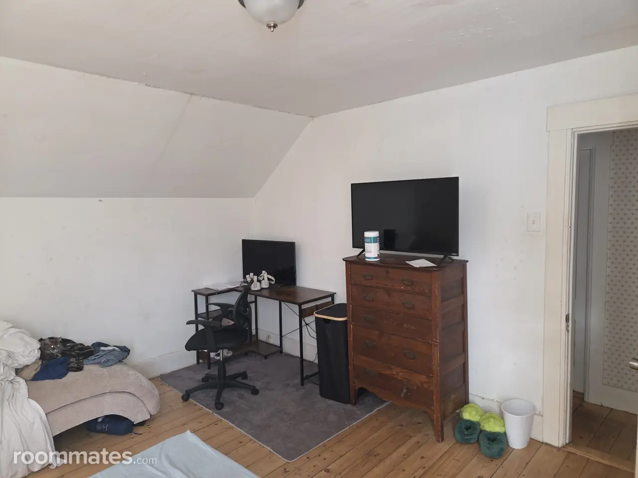 Profile photo 1 of 11