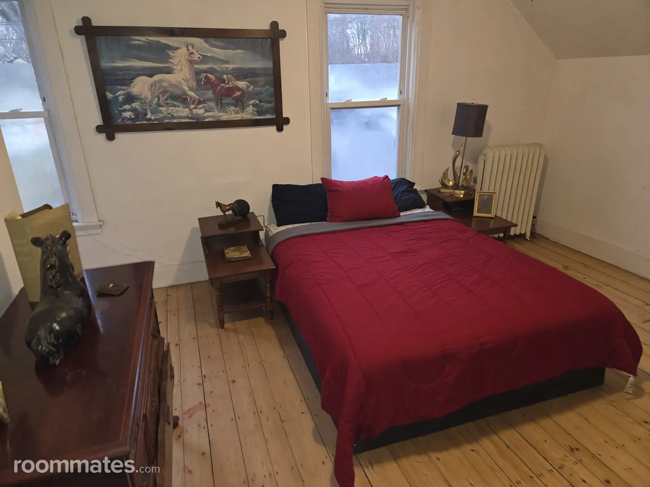 Profile photo 5 of 11