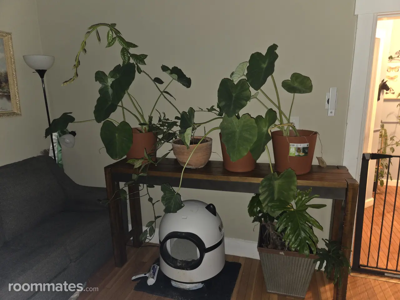 Profile photo 7 of 11