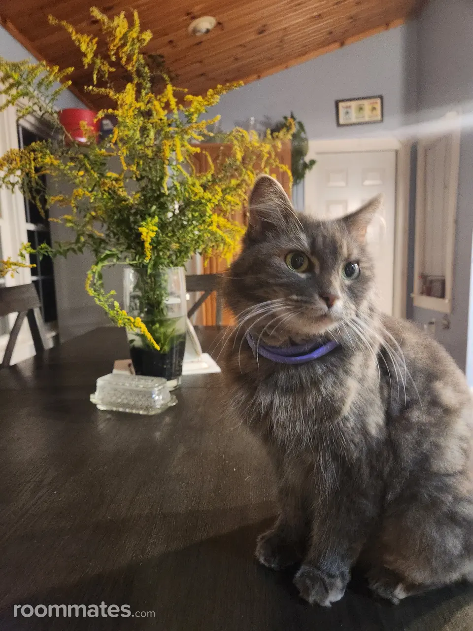 Profile photo 8 of 11