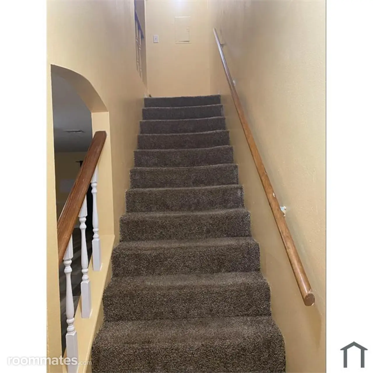 Profile photo 2 of 8