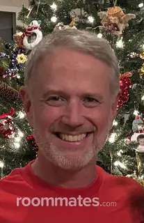 Roommate looking Prattville, AL, $500