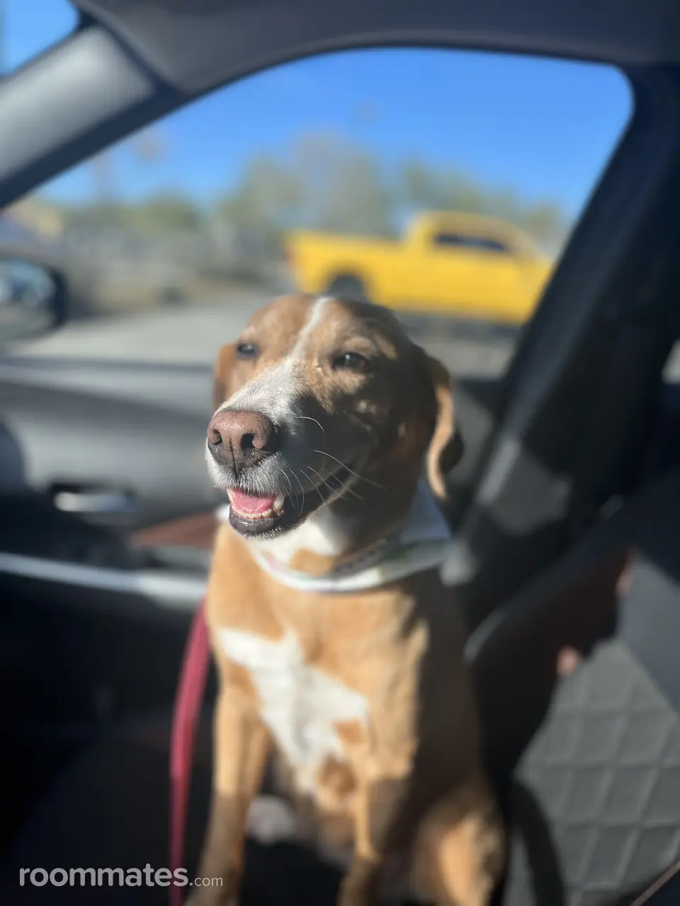 Profile photo 3 of 8