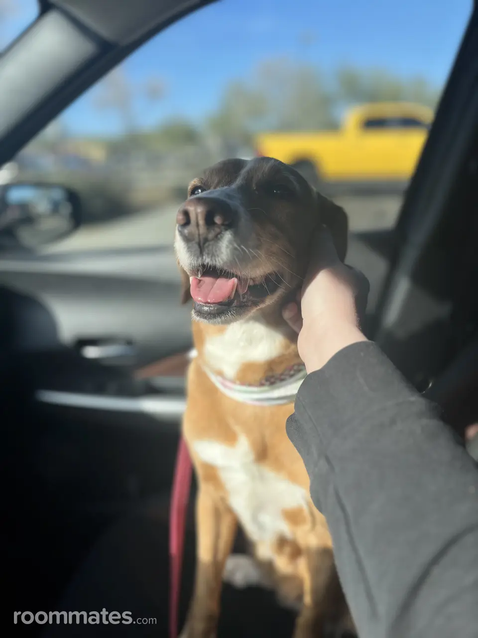 Profile photo 8 of 8