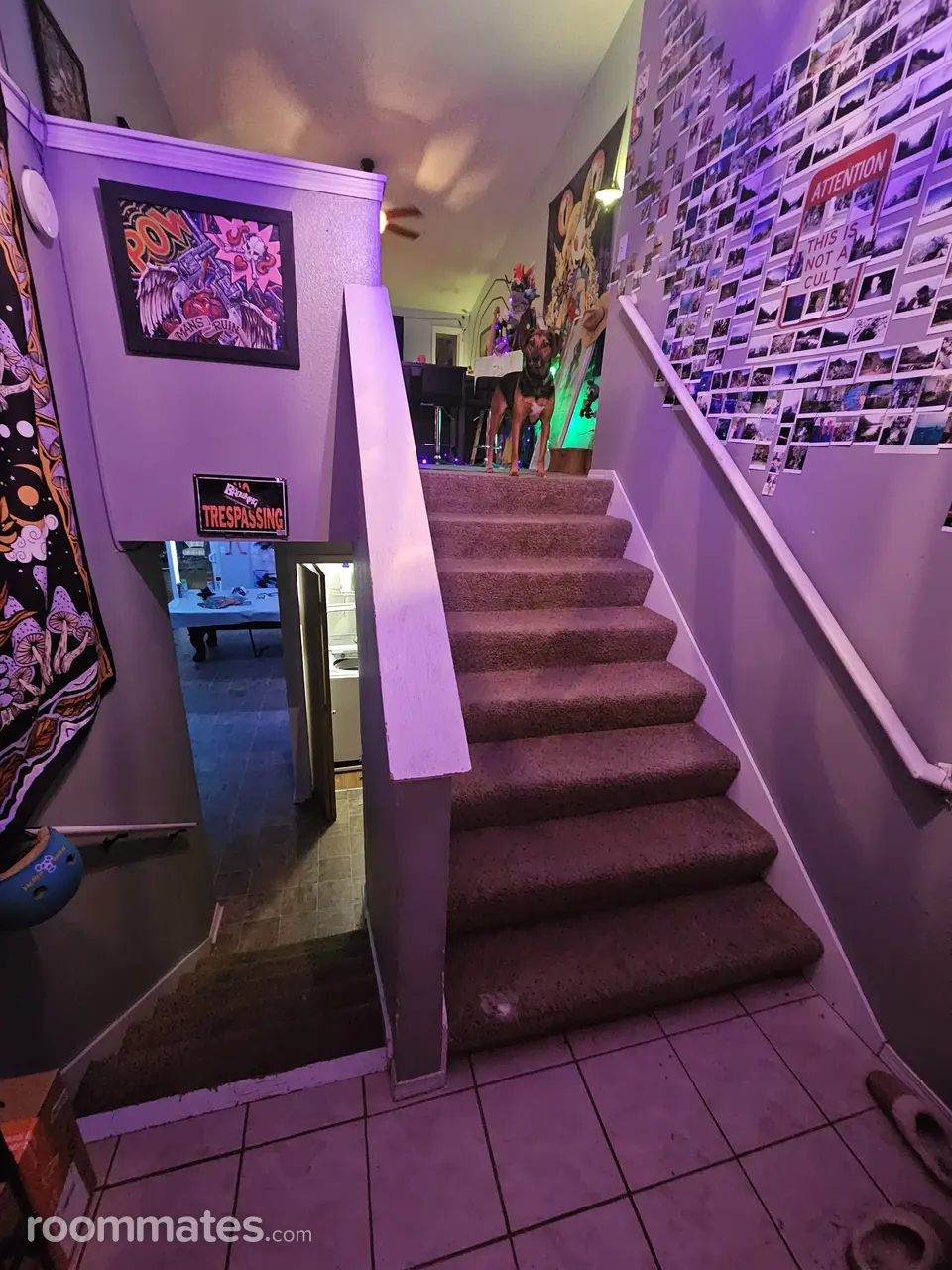 Profile photo 5 of 9