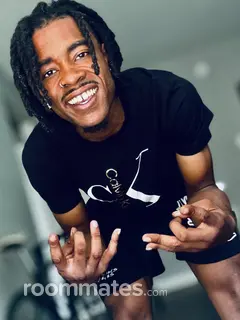 Roommate looking Chicago, IL, $1000