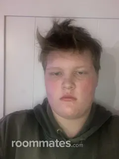 Roommate looking Gainesville, GA, $1200