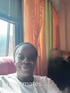 Roommate looking Brookfield, IL, $600