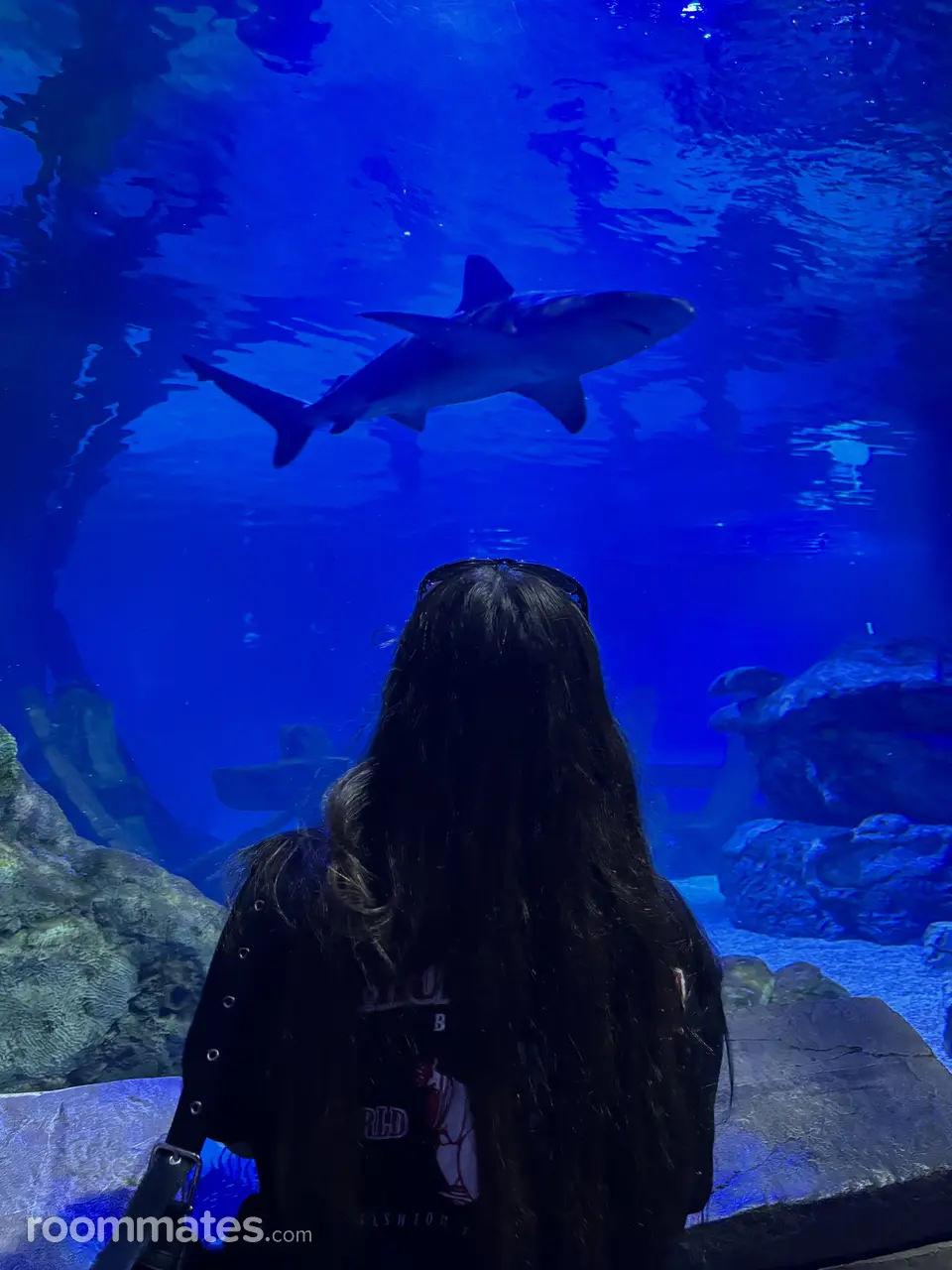 Profile photo 3 of 7