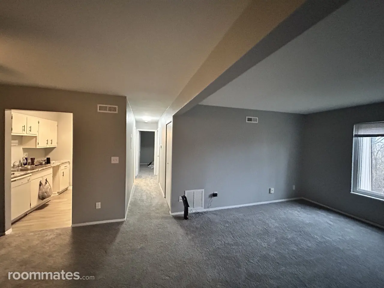 Profile photo 3 of 15