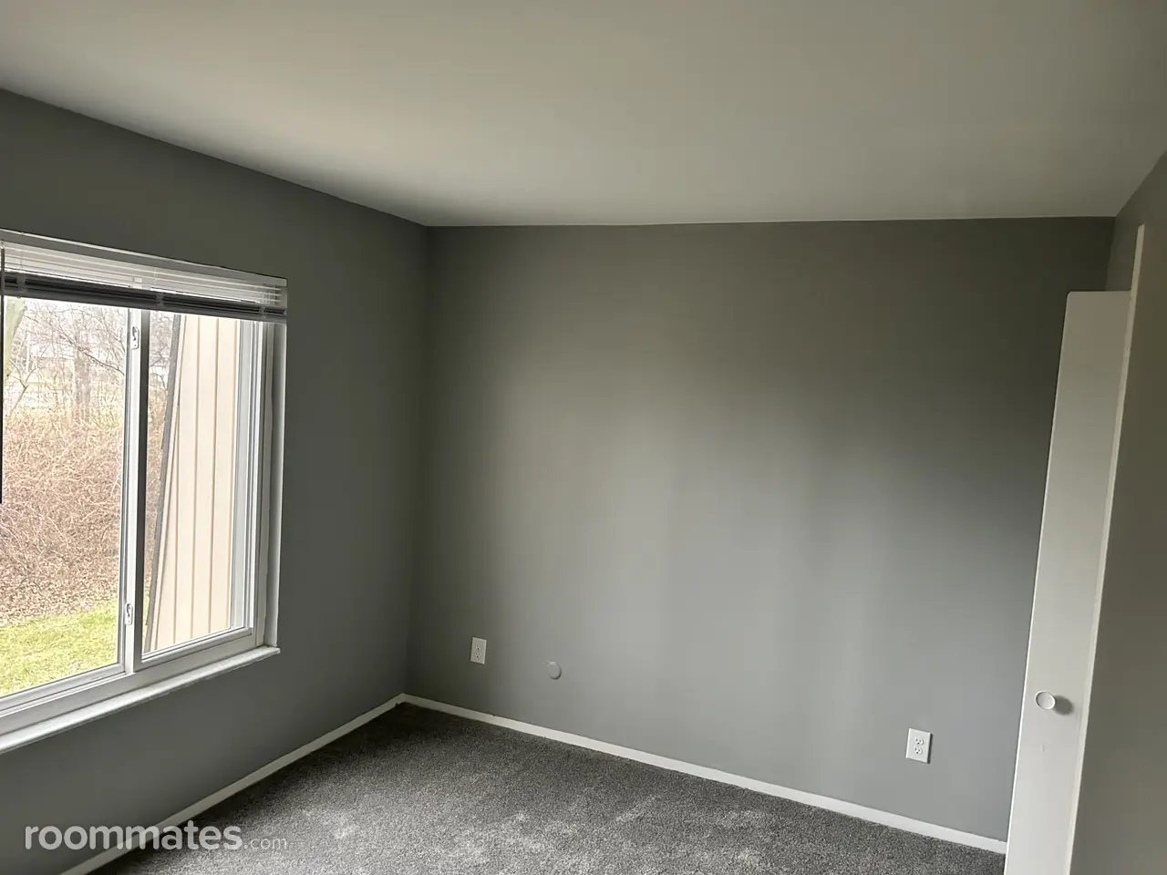 Profile photo 4 of 15