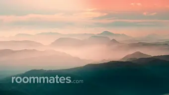 Roommate looking Lexington, SC, $1000