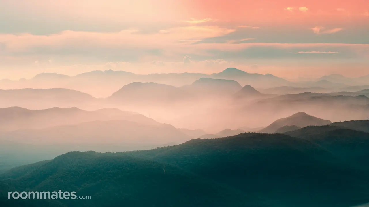 Profile photo 1 of 1