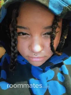 Roommate looking Hudson, NY, $1100