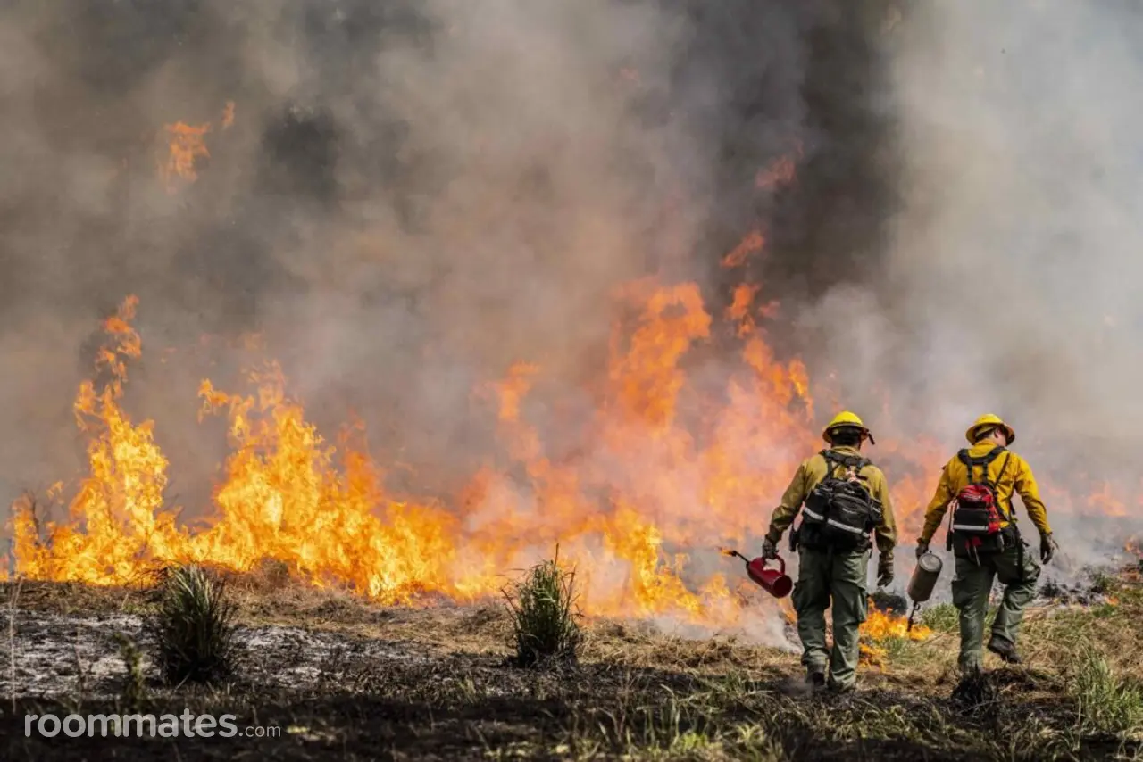 Profile photo 4 of 6