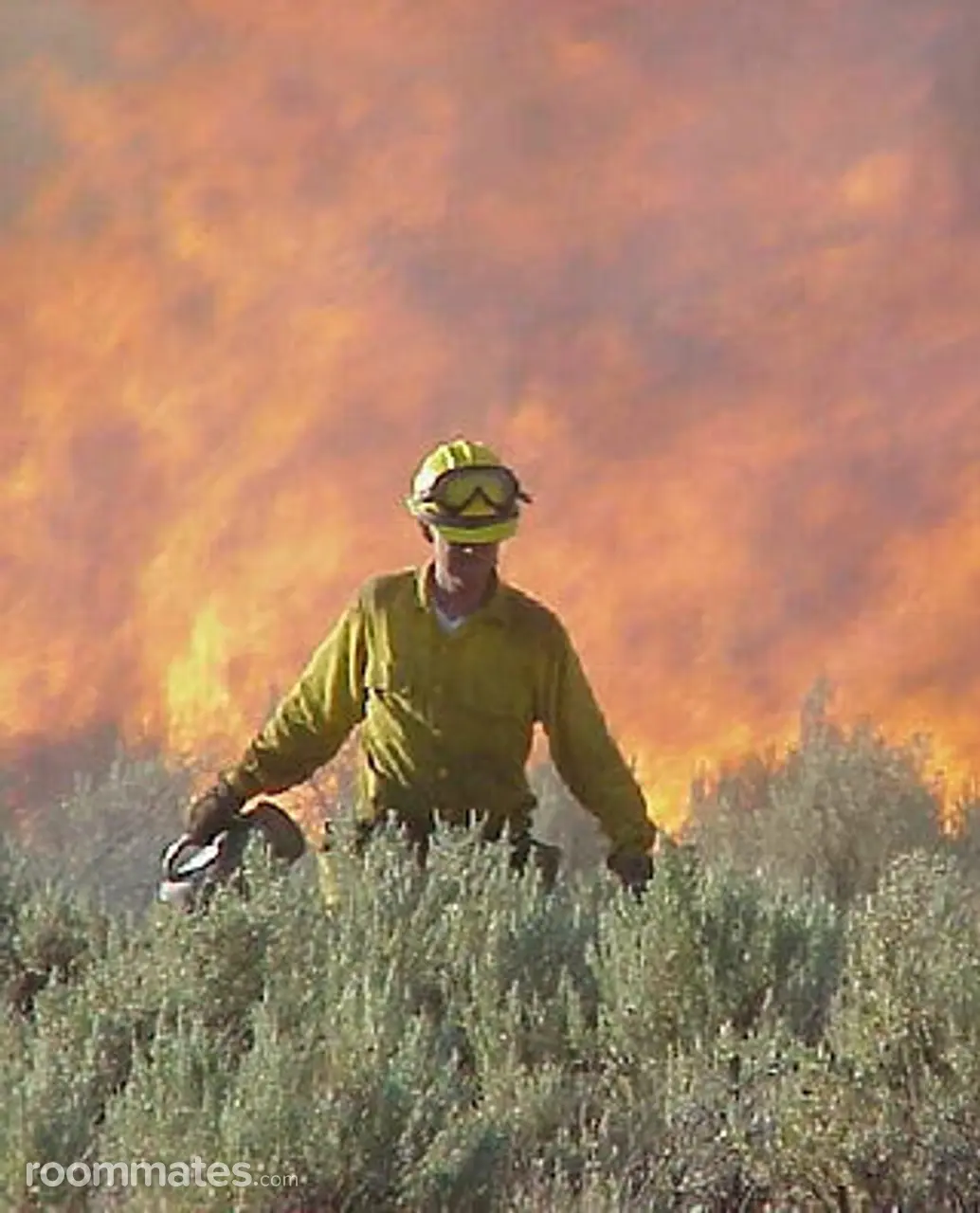 Profile photo 2 of 6