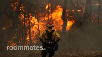 Roommate looking Cleburne, TX, $200