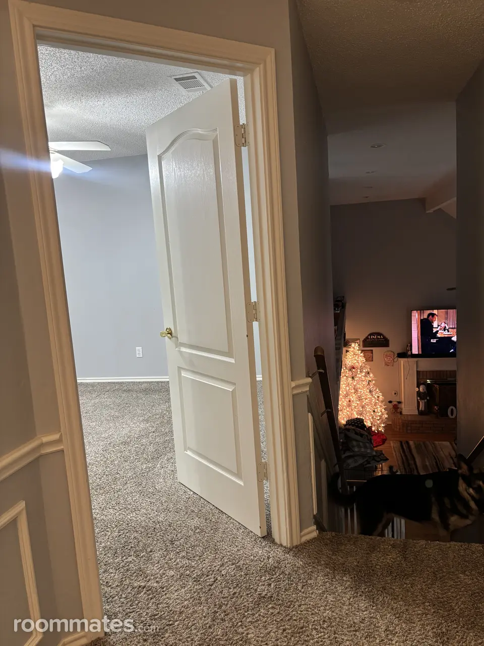 Profile photo 7 of 11