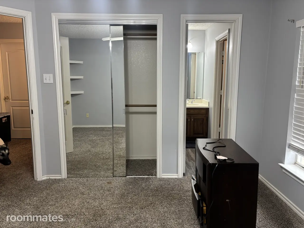 Profile photo 6 of 11