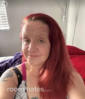 Roommate looking Lansing, MI, $800