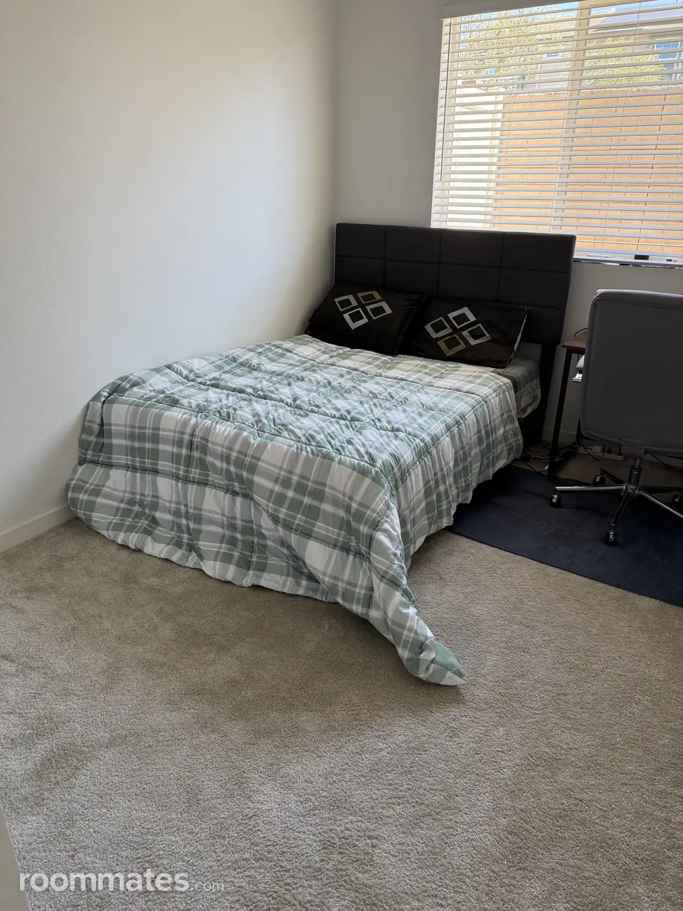 Profile photo 6 of 8