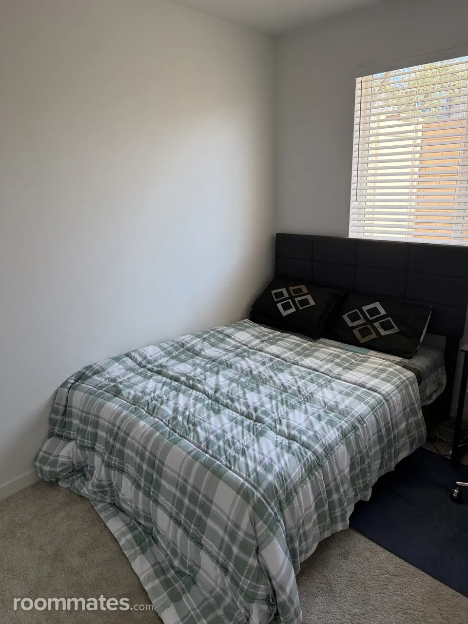 Profile photo 7 of 8