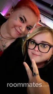 Roommate looking Chesterton, IN, $700