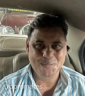 Roommate looking Georgetown, TX, $600