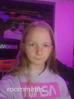 Roommate looking Champaign, IL, $900