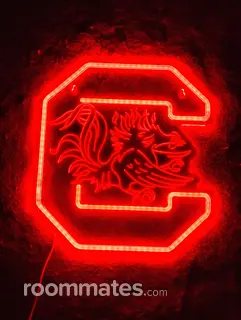 Roommate looking Myrtle Beach, SC, $600