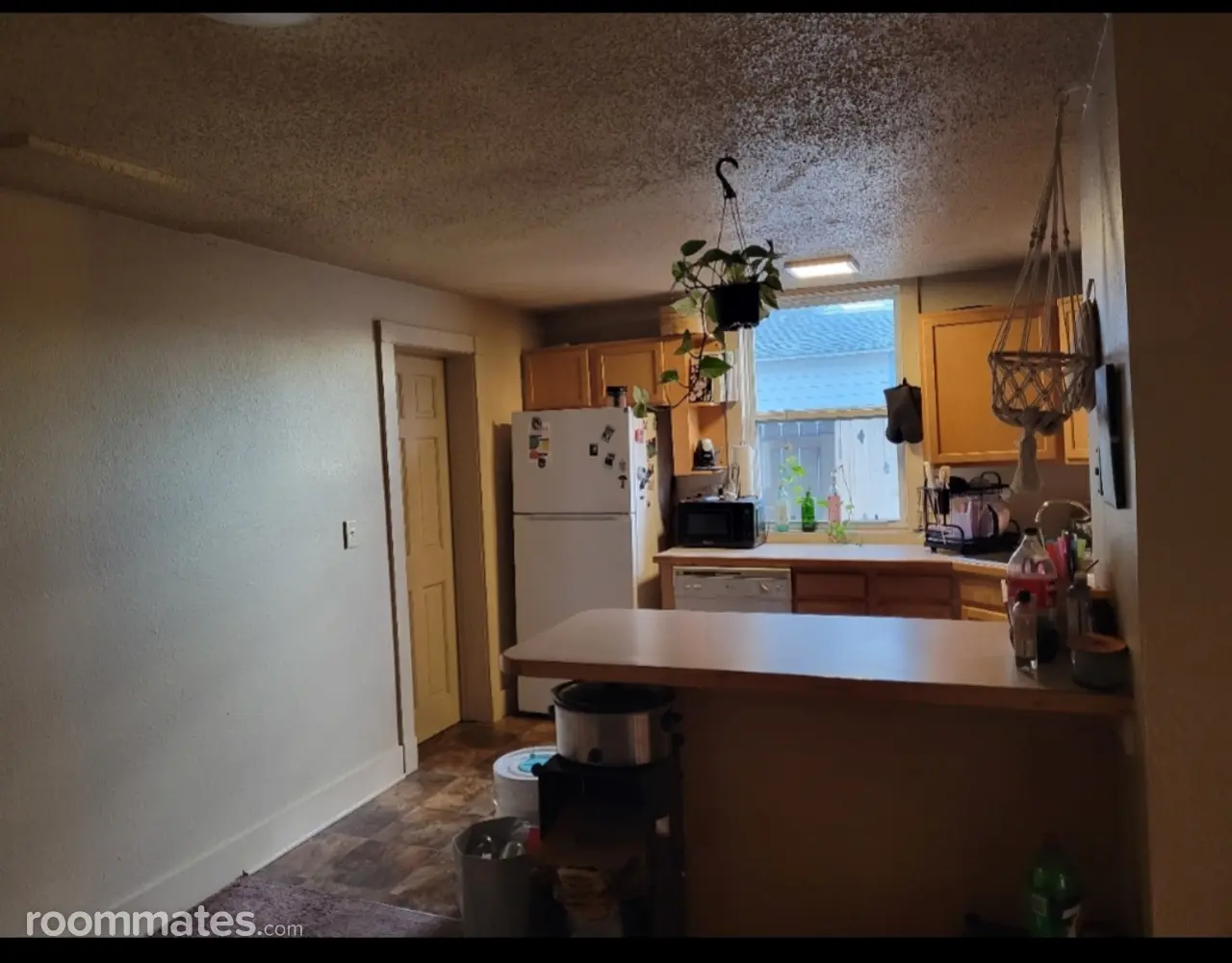 Profile photo 2 of 6