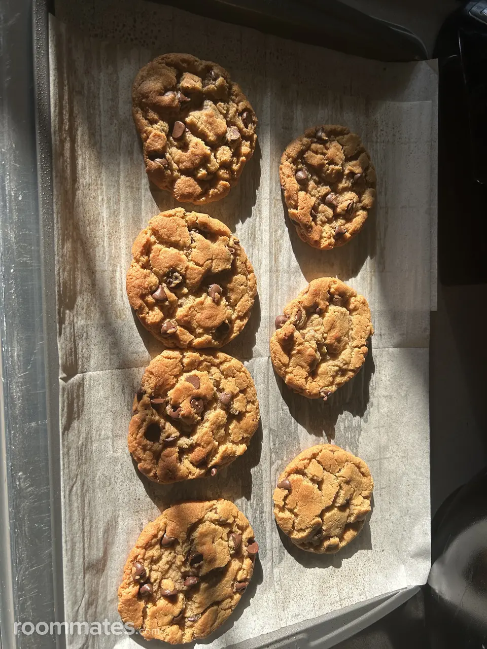 Profile photo 6 of 11