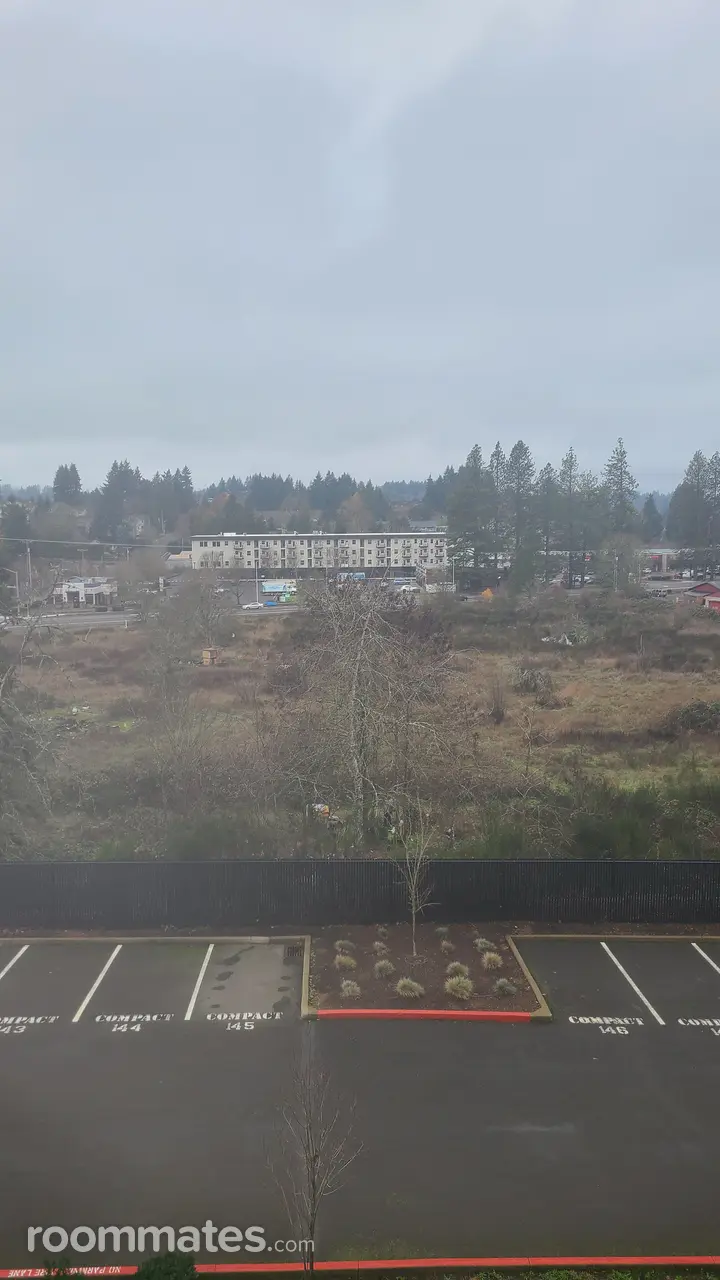 Profile photo 4 of 11