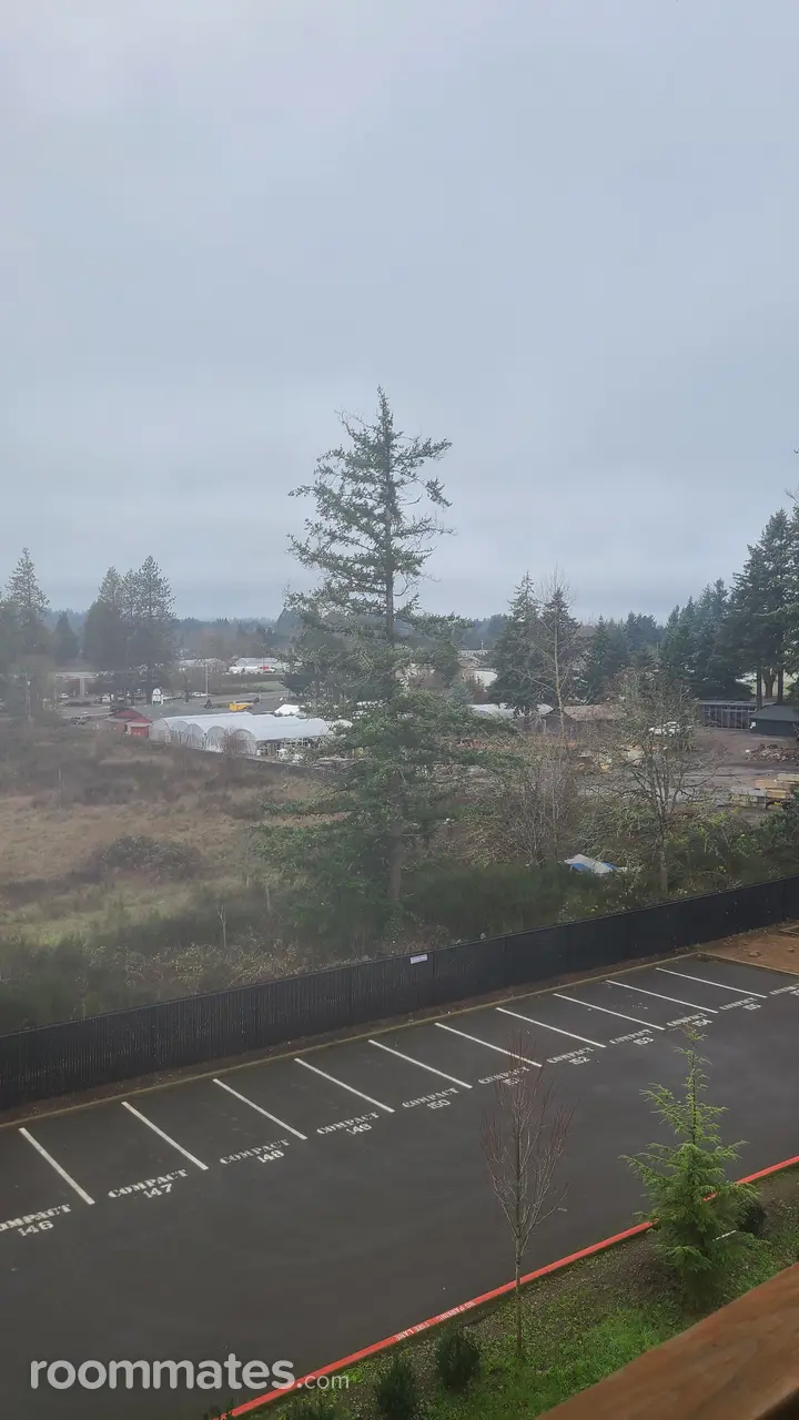 Profile photo 3 of 11