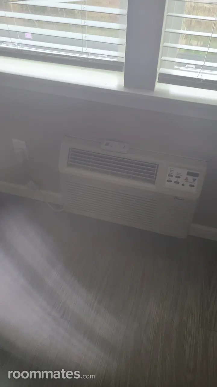 Profile photo 5 of 11