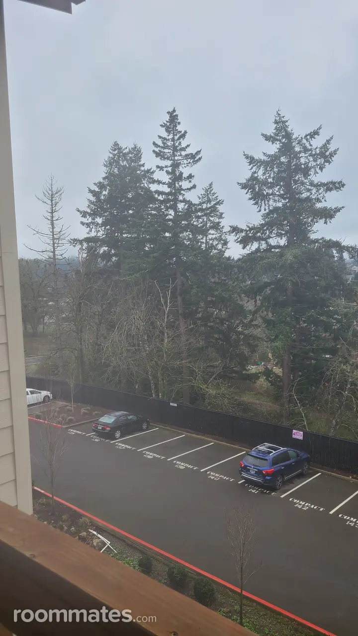 Profile photo 1 of 11