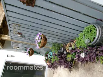 Room for rent in Surfside Beach, SC $750, condo