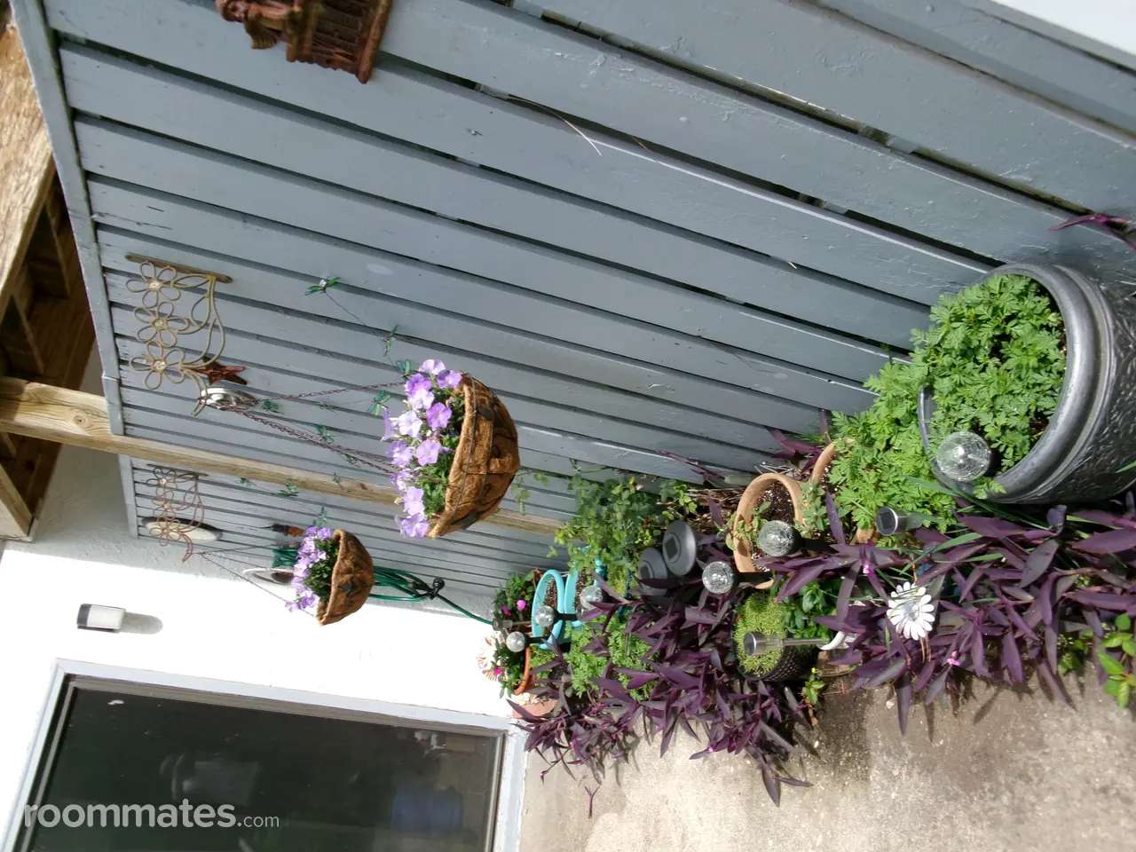 Profile photo 1 of 4