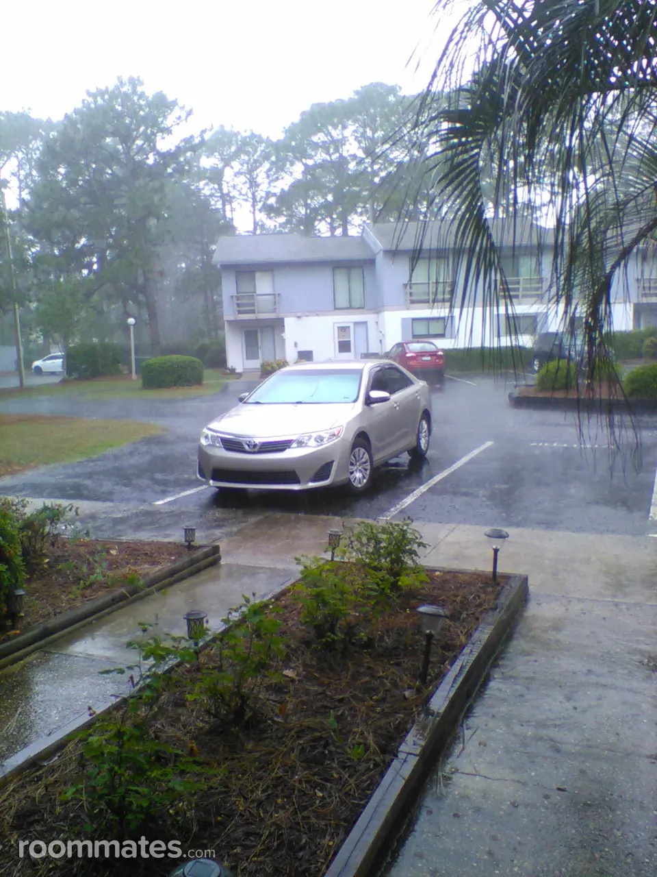 Profile photo 2 of 4