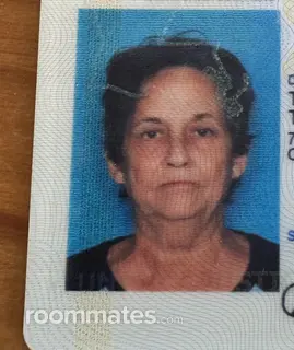 Roommate looking Spring, TX, $800